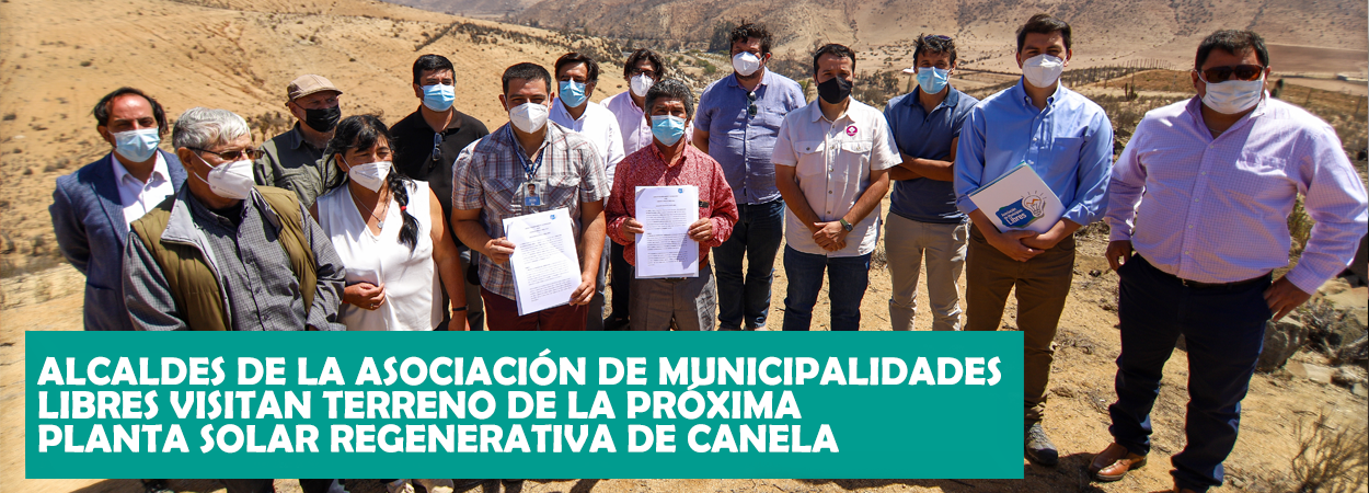 canela_noticia